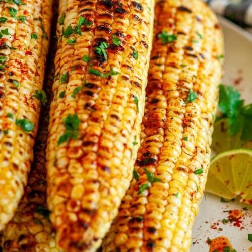 Grilled Corn on the Cob | Cooking Corn on the Grill